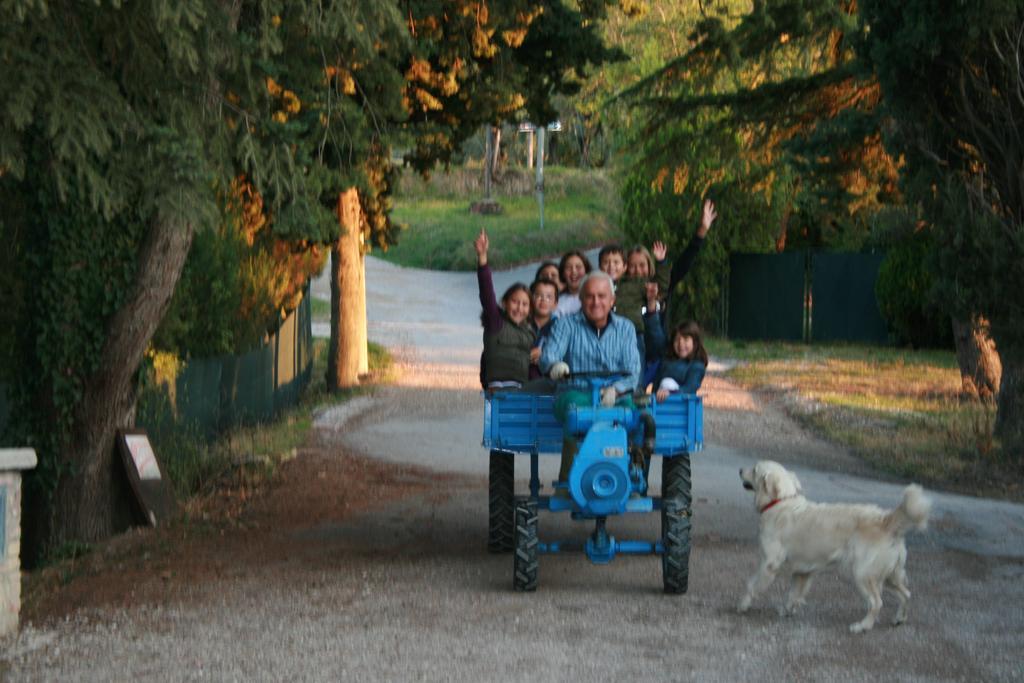 Agriturismo San Lorenzo Della Rabatta Cenerente Zimmer foto