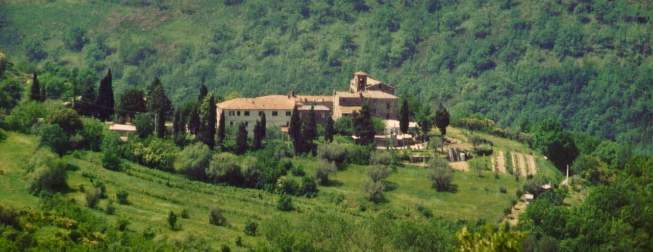 Agriturismo San Lorenzo Della Rabatta Cenerente Exterior foto